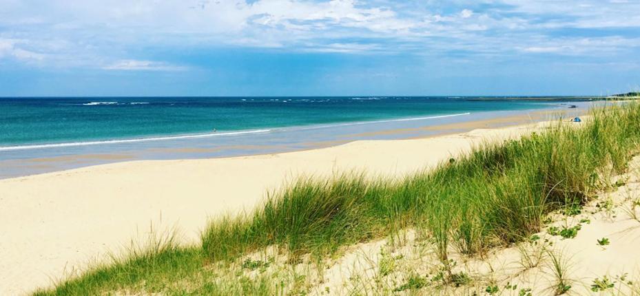 Camping Barataud Saint Denis d'Oleron Bagian luar foto