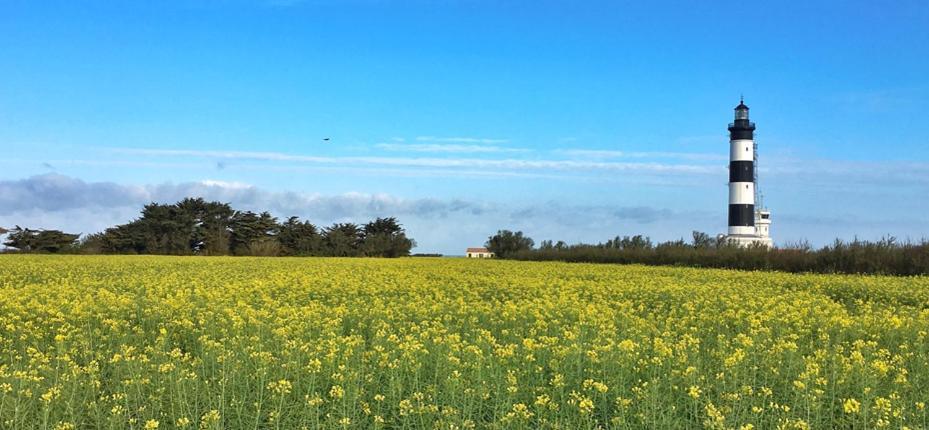Camping Barataud Saint Denis d'Oleron Bagian luar foto